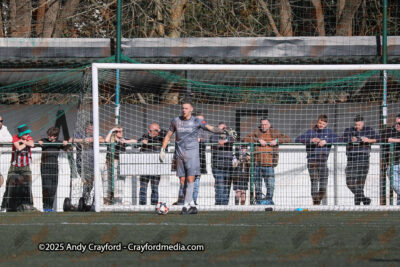 AFC-Whyteleafe-v-Andover-New-Street-290325-36
