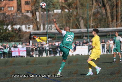 AFC-Whyteleafe-v-Andover-New-Street-290325-39