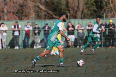 AFC-Whyteleafe-v-Andover-New-Street-290325-47