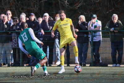 AFC-Whyteleafe-v-Andover-New-Street-290325-60