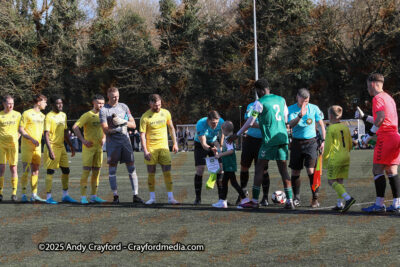 AFC-Whyteleafe-v-Andover-New-Street-290325-7