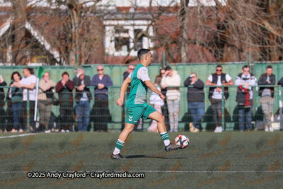 AFC-Whyteleafe-v-Andover-New-Street-290325-86