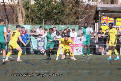 AFC-Whyteleafe-v-Andover-New-Street-290325-87