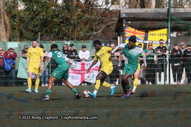 AFC-Whyteleafe-v-Andover-New-Street-290325-91