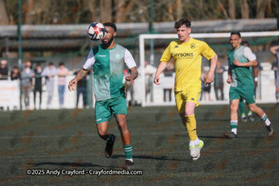 AFC-Whyteleafe-v-Andover-New-Street-290325-93