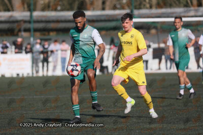 AFC-Whyteleafe-v-Andover-New-Street-290325-94
