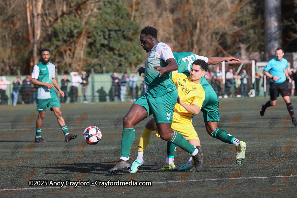 AFC-Whyteleafe-v-Andover-New-Street-290325-95