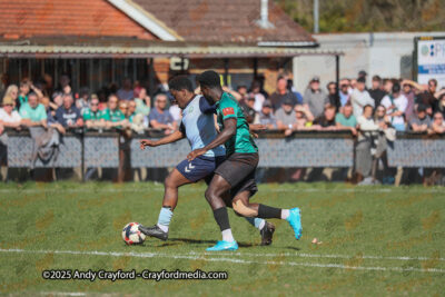 Andover-New-Street-v-AFC-Whyteleafe-050425-101