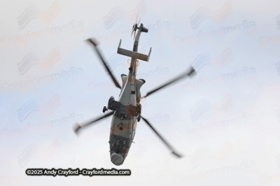 BLACKCARTS-RIAT-2025-15