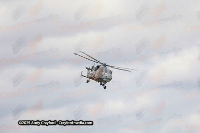 BLACKCARTS-RIAT-2025-17