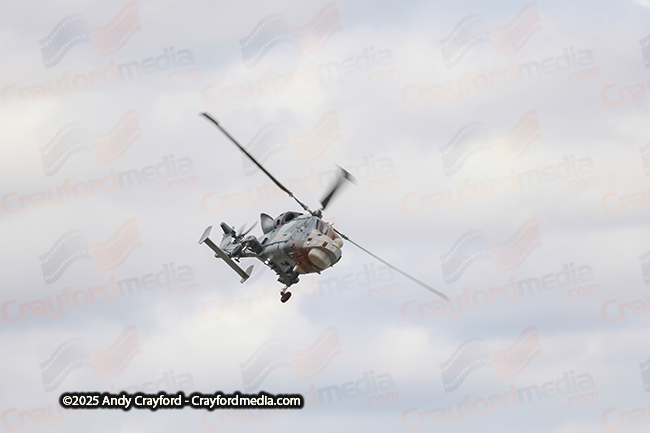 BLACKCARTS-RIAT-2025-18