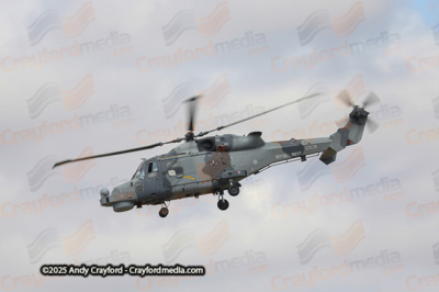 BLACKCARTS-RIAT-2025-22