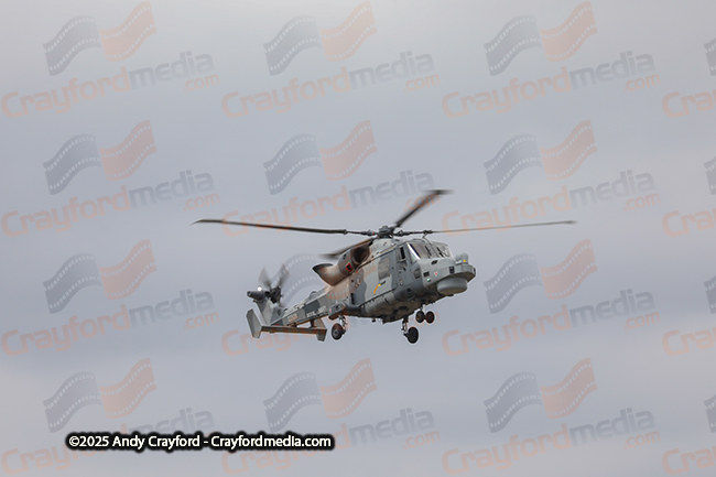 BLACKCARTS-RIAT-2025-24