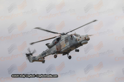 BLACKCARTS-RIAT-2025-25