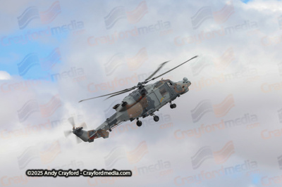 BLACKCARTS-RIAT-2025-29