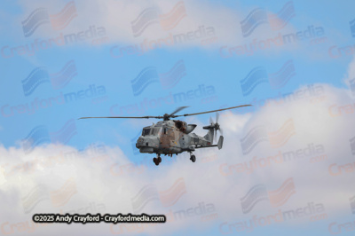 BLACKCARTS-RIAT-2025-3