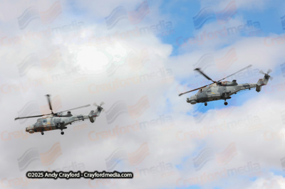 BLACKCARTS-RIAT-2025-4