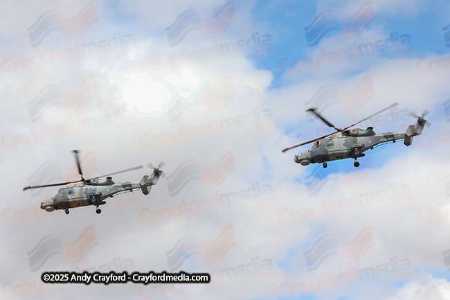 BLACKCARTS-RIAT-2025-4