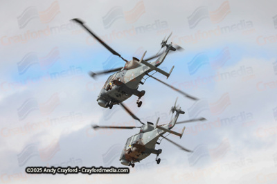 BLACKCARTS-RIAT-2025-5