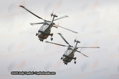 BLACKCARTS-RIAT-2025-6