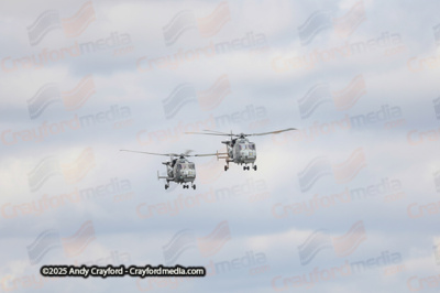 BLACKCARTS-RIAT-2025-7