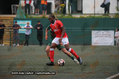 AFC-Whyteleafe-v-Charlton-Athletic-150725-12
