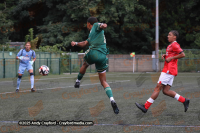 AFC-Whyteleafe-v-Charlton-Athletic-150725-2
