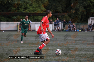 AFC-Whyteleafe-v-Charlton-Athletic-150725-24