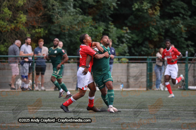 AFC-Whyteleafe-v-Charlton-Athletic-150725-53