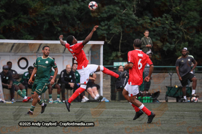 AFC-Whyteleafe-v-Charlton-Athletic-150725-55