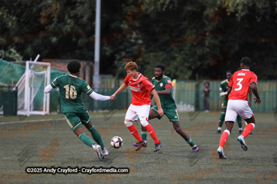 AFC-Whyteleafe-v-Charlton-Athletic-150725-62