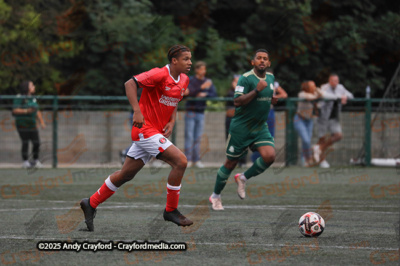 AFC-Whyteleafe-v-Charlton-Athletic-150725-9