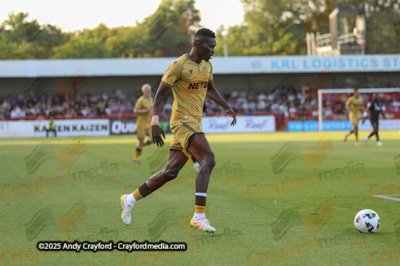 Crawley-Town-v-Crystal-Palace-250725-12