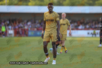 Crawley-Town-v-Crystal-Palace-250725-14