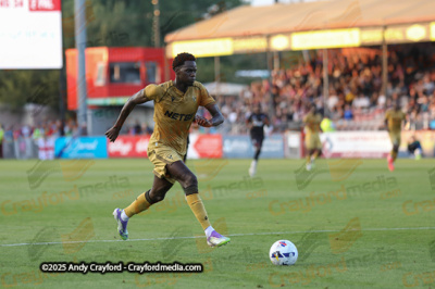 Crawley-Town-v-Crystal-Palace-250725-38