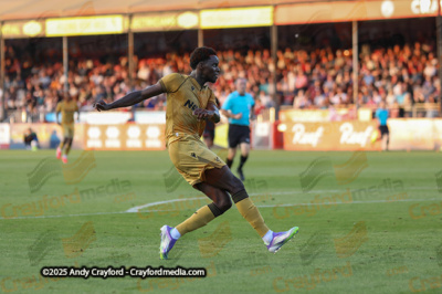 Crawley-Town-v-Crystal-Palace-250725-39