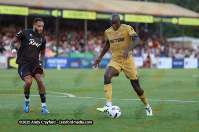 Crawley-Town-v-Crystal-Palace-250725-52